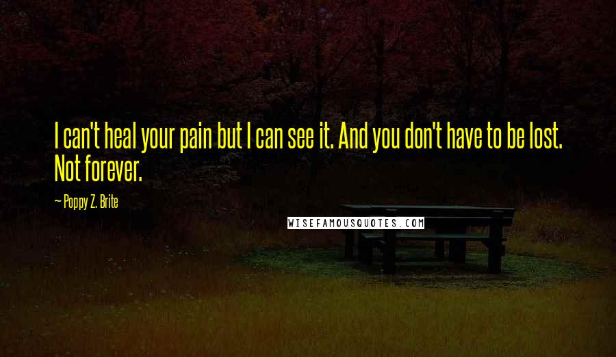 Poppy Z. Brite Quotes: I can't heal your pain but I can see it. And you don't have to be lost. Not forever.