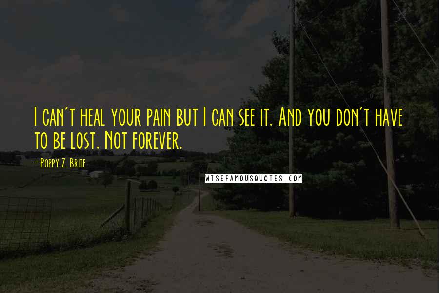 Poppy Z. Brite Quotes: I can't heal your pain but I can see it. And you don't have to be lost. Not forever.