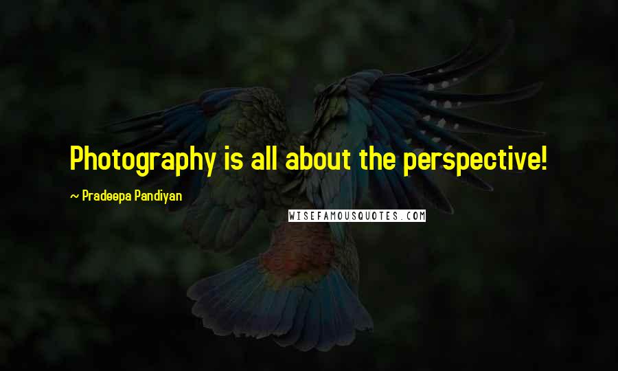 Pradeepa Pandiyan Quotes: Photography is all about the perspective!