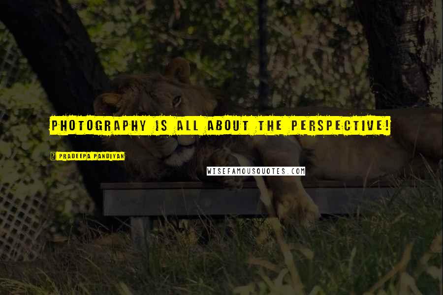 Pradeepa Pandiyan Quotes: Photography is all about the perspective!