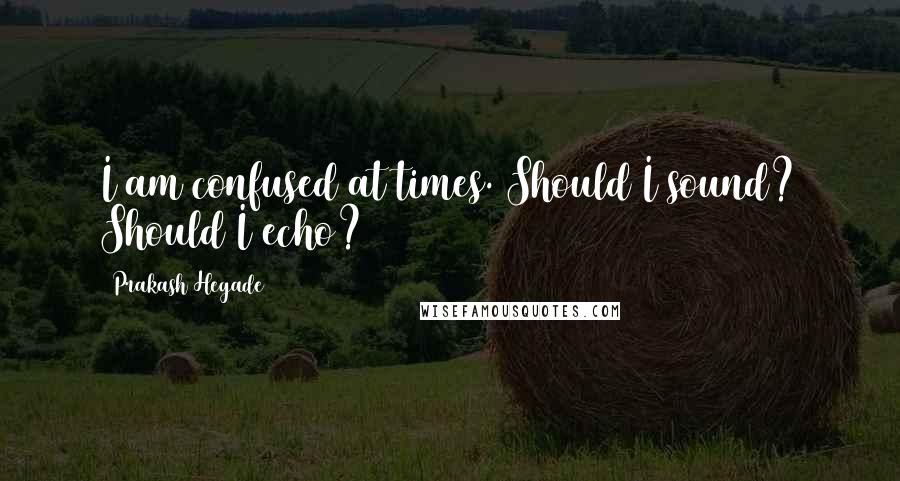 Prakash Hegade Quotes: I am confused at times. Should I sound? Should I echo?