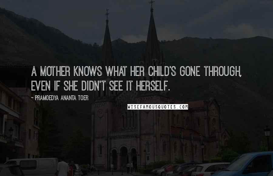 Pramoedya Ananta Toer Quotes: A mother knows what her child's gone through, even if she didn't see it herself.