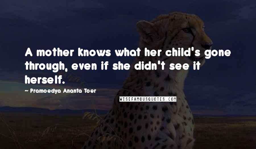 Pramoedya Ananta Toer Quotes: A mother knows what her child's gone through, even if she didn't see it herself.