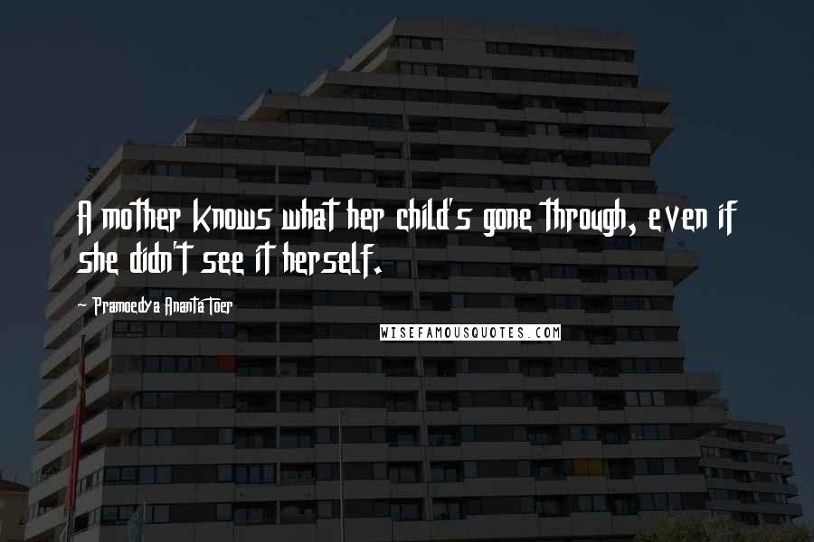 Pramoedya Ananta Toer Quotes: A mother knows what her child's gone through, even if she didn't see it herself.