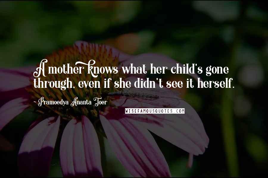 Pramoedya Ananta Toer Quotes: A mother knows what her child's gone through, even if she didn't see it herself.