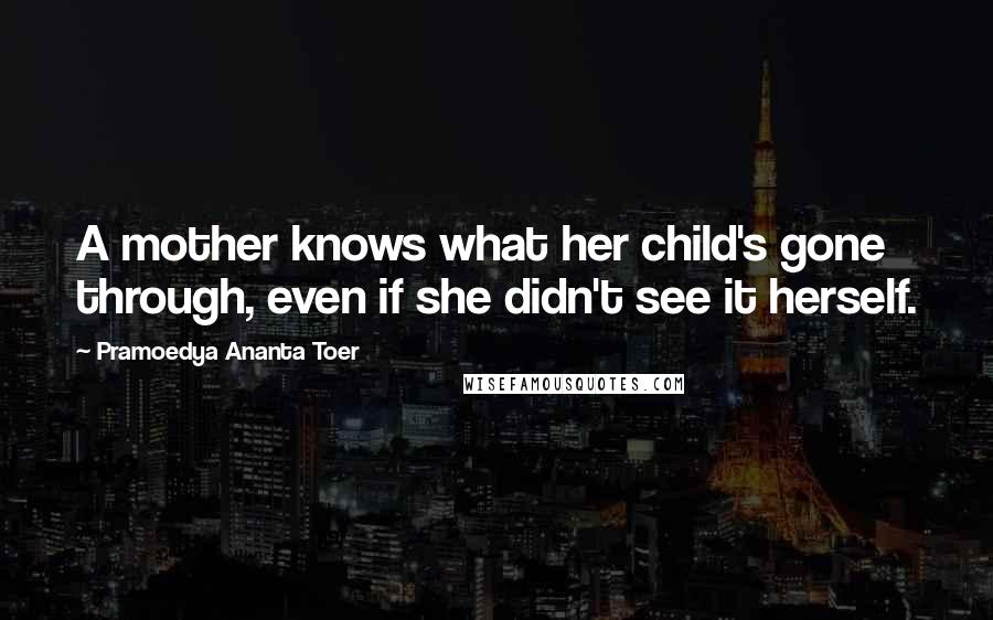 Pramoedya Ananta Toer Quotes: A mother knows what her child's gone through, even if she didn't see it herself.