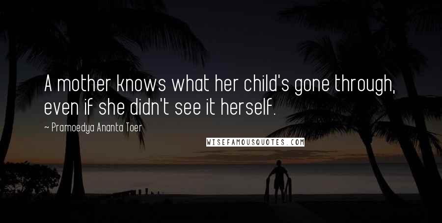 Pramoedya Ananta Toer Quotes: A mother knows what her child's gone through, even if she didn't see it herself.