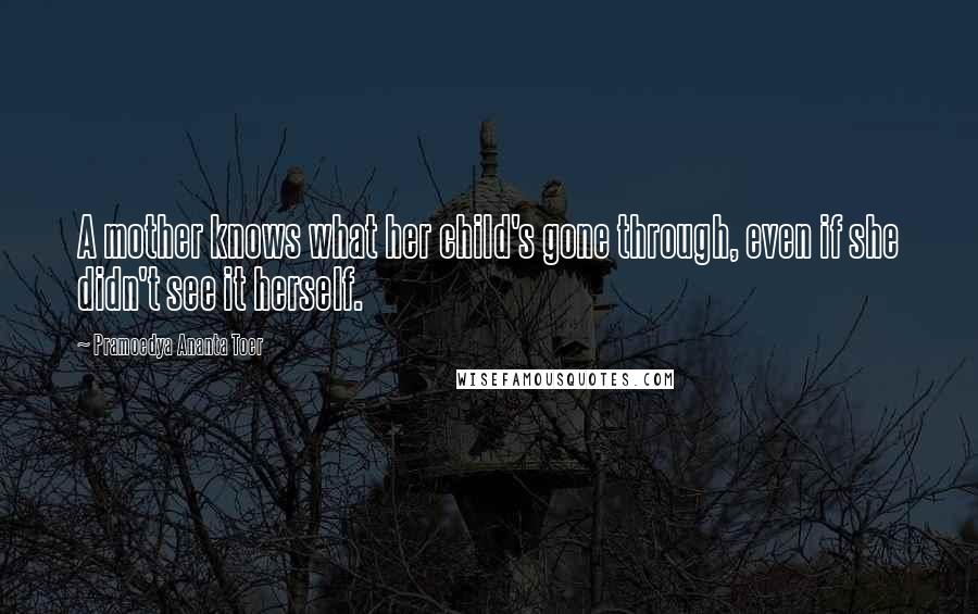 Pramoedya Ananta Toer Quotes: A mother knows what her child's gone through, even if she didn't see it herself.