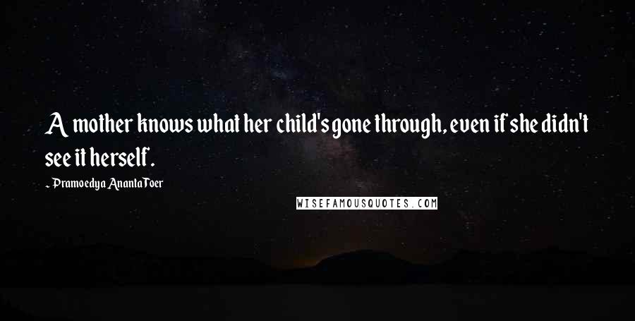 Pramoedya Ananta Toer Quotes: A mother knows what her child's gone through, even if she didn't see it herself.