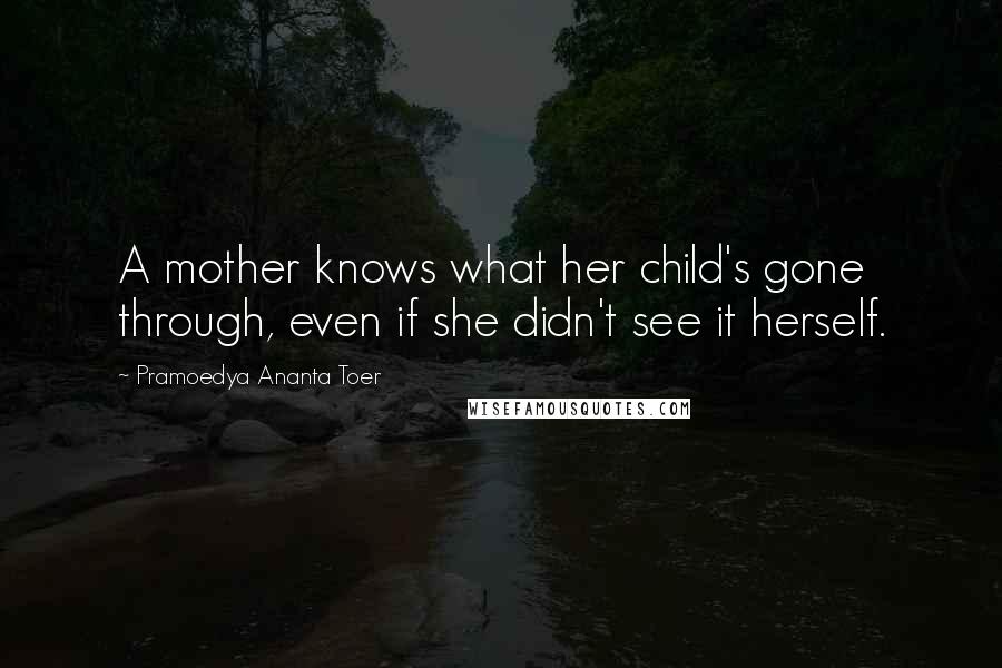 Pramoedya Ananta Toer Quotes: A mother knows what her child's gone through, even if she didn't see it herself.