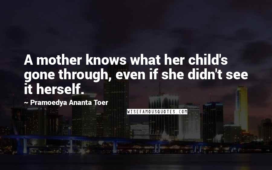 Pramoedya Ananta Toer Quotes: A mother knows what her child's gone through, even if she didn't see it herself.