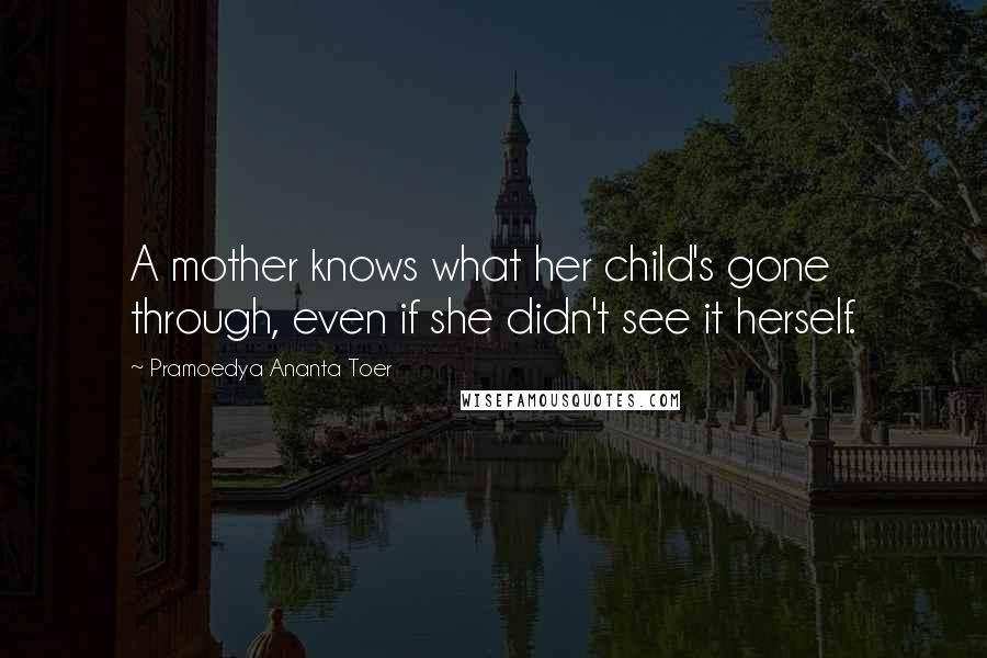 Pramoedya Ananta Toer Quotes: A mother knows what her child's gone through, even if she didn't see it herself.