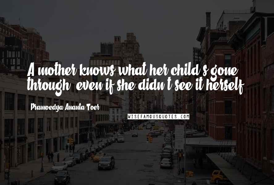 Pramoedya Ananta Toer Quotes: A mother knows what her child's gone through, even if she didn't see it herself.