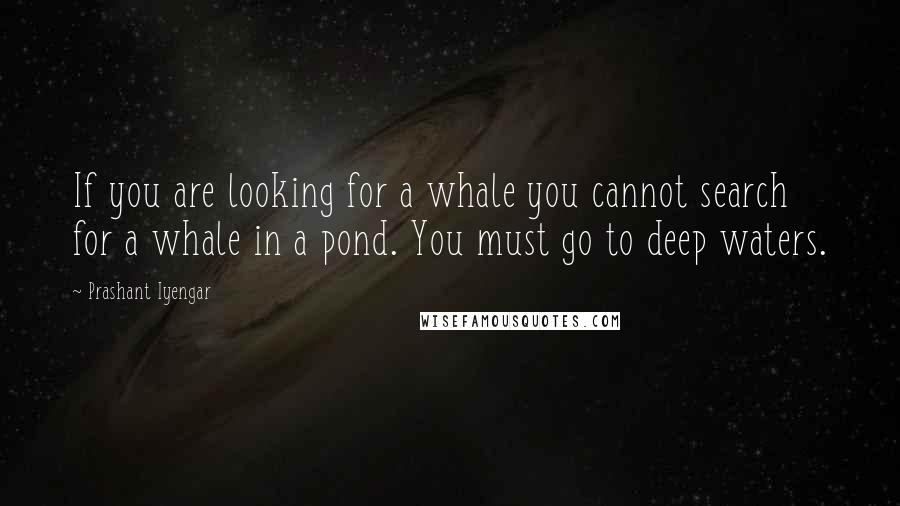 Prashant Iyengar Quotes: If you are looking for a whale you cannot search for a whale in a pond. You must go to deep waters.