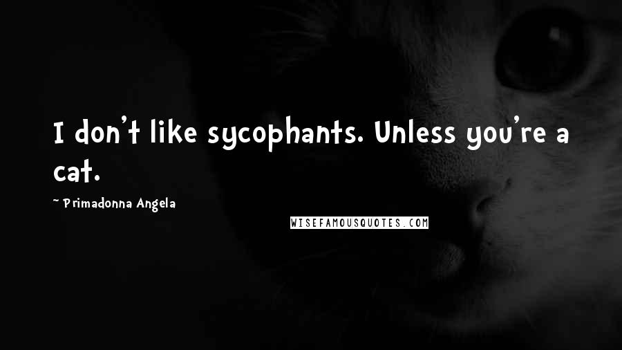 Primadonna Angela Quotes: I don't like sycophants. Unless you're a cat.