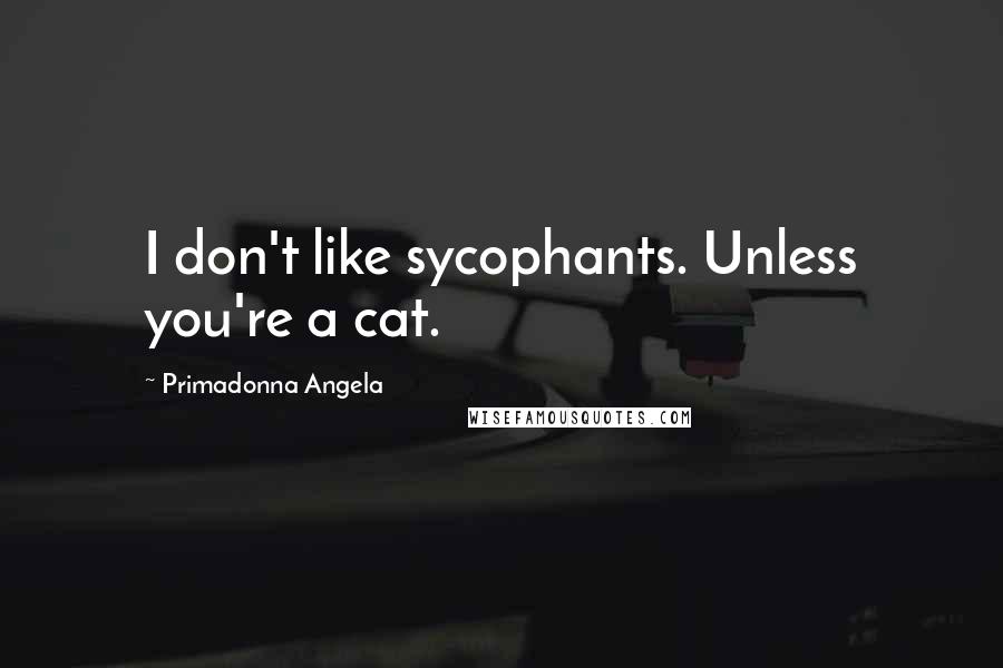 Primadonna Angela Quotes: I don't like sycophants. Unless you're a cat.