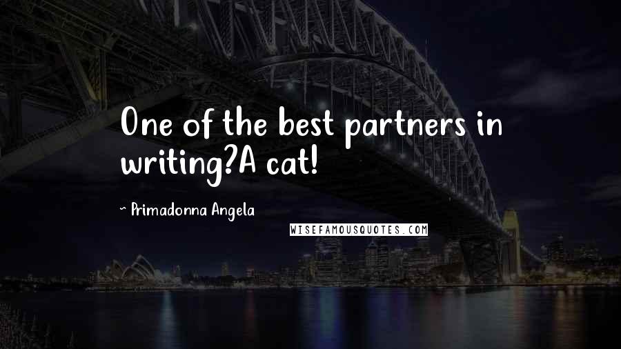 Primadonna Angela Quotes: One of the best partners in writing?A cat!