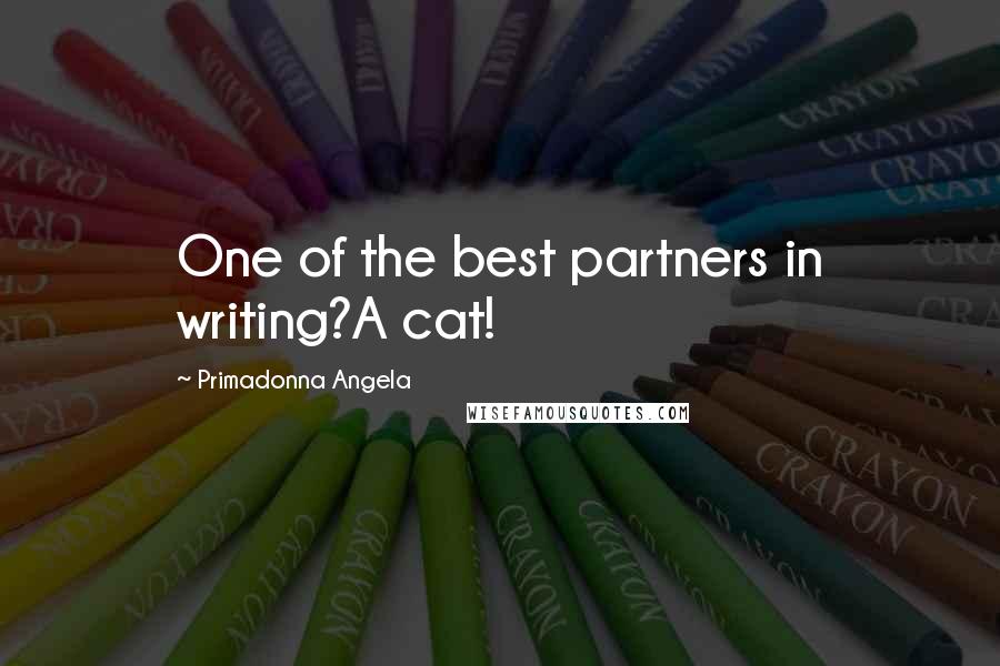 Primadonna Angela Quotes: One of the best partners in writing?A cat!