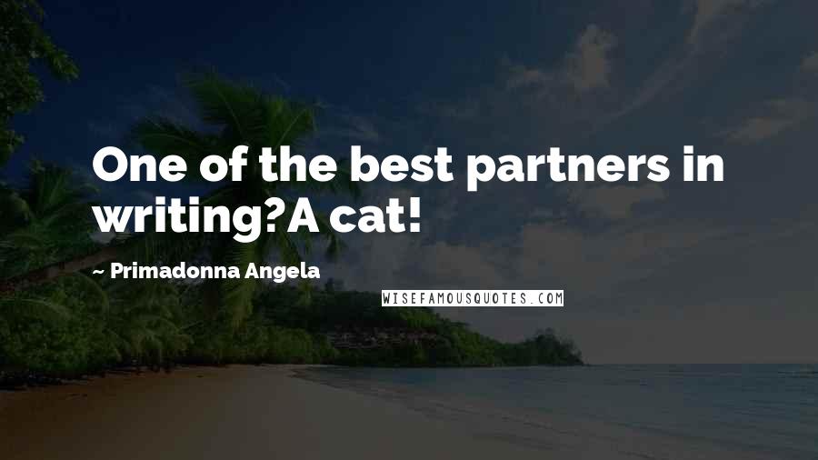 Primadonna Angela Quotes: One of the best partners in writing?A cat!