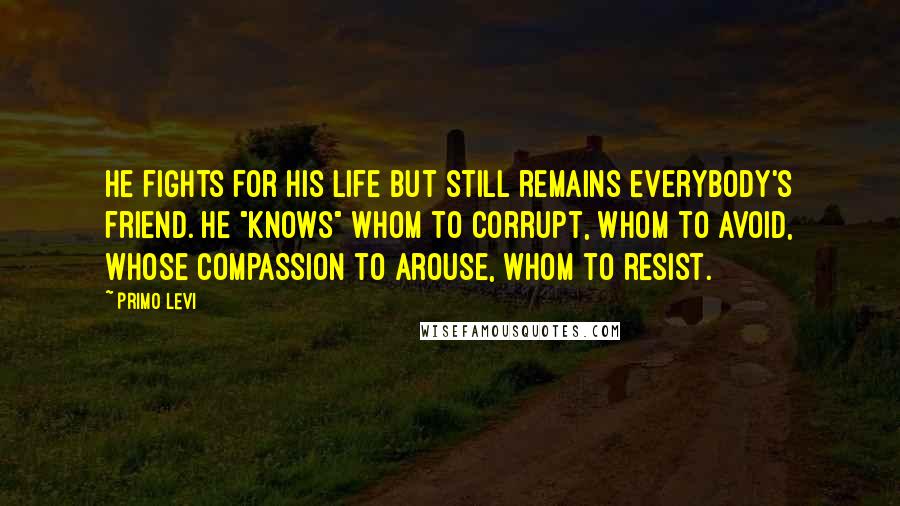 Primo Levi Quotes: He fights for his life but still remains everybody's friend. He "knows" whom to corrupt, whom to avoid, whose compassion to arouse, whom to resist.