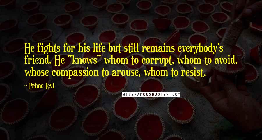 Primo Levi Quotes: He fights for his life but still remains everybody's friend. He "knows" whom to corrupt, whom to avoid, whose compassion to arouse, whom to resist.