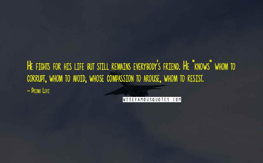 Primo Levi Quotes: He fights for his life but still remains everybody's friend. He "knows" whom to corrupt, whom to avoid, whose compassion to arouse, whom to resist.