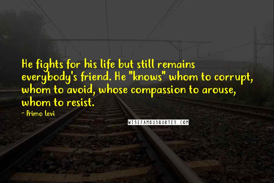 Primo Levi Quotes: He fights for his life but still remains everybody's friend. He "knows" whom to corrupt, whom to avoid, whose compassion to arouse, whom to resist.