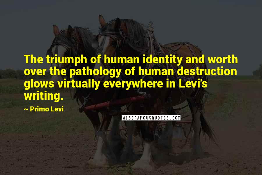 Primo Levi Quotes: The triumph of human identity and worth over the pathology of human destruction glows virtually everywhere in Levi's writing.