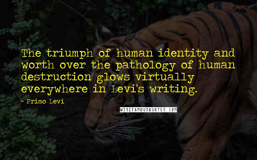 Primo Levi Quotes: The triumph of human identity and worth over the pathology of human destruction glows virtually everywhere in Levi's writing.