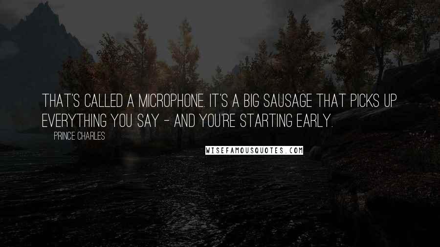 Prince Charles Quotes: That's called a microphone. It's a big sausage that picks up everything you say - and you're starting early.