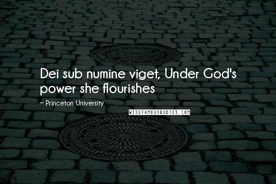Princeton University Quotes: Dei sub numine viget, Under God's power she flourishes