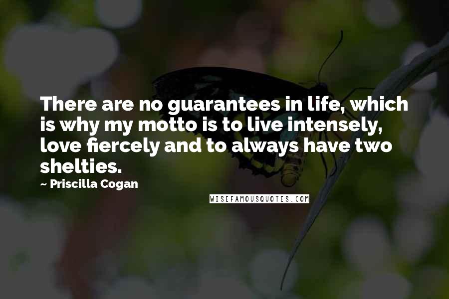 Priscilla Cogan Quotes: There are no guarantees in life, which is why my motto is to live intensely, love fiercely and to always have two shelties.