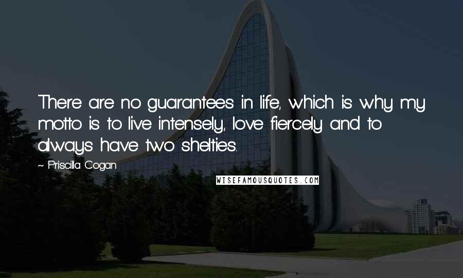 Priscilla Cogan Quotes: There are no guarantees in life, which is why my motto is to live intensely, love fiercely and to always have two shelties.