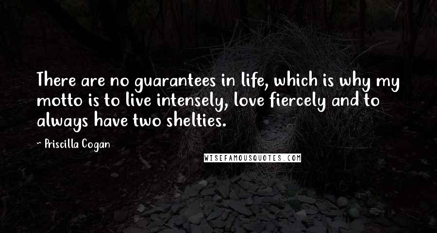 Priscilla Cogan Quotes: There are no guarantees in life, which is why my motto is to live intensely, love fiercely and to always have two shelties.