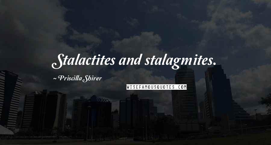Priscilla Shirer Quotes: Stalactites and stalagmites.