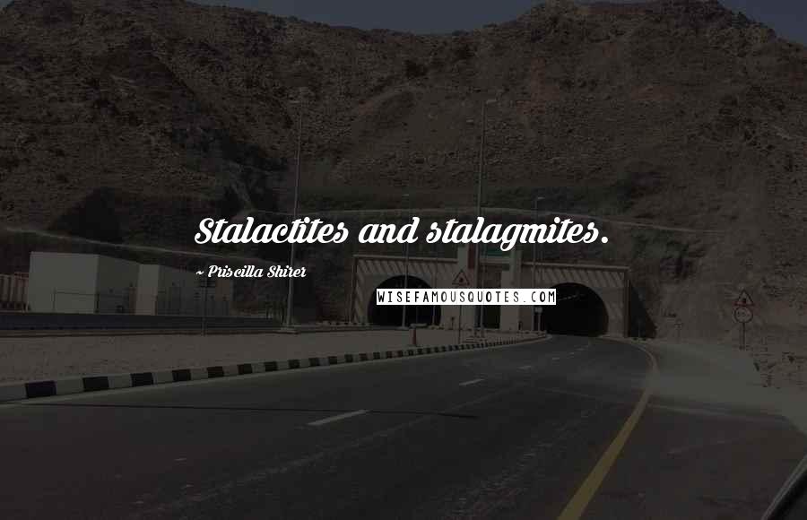 Priscilla Shirer Quotes: Stalactites and stalagmites.