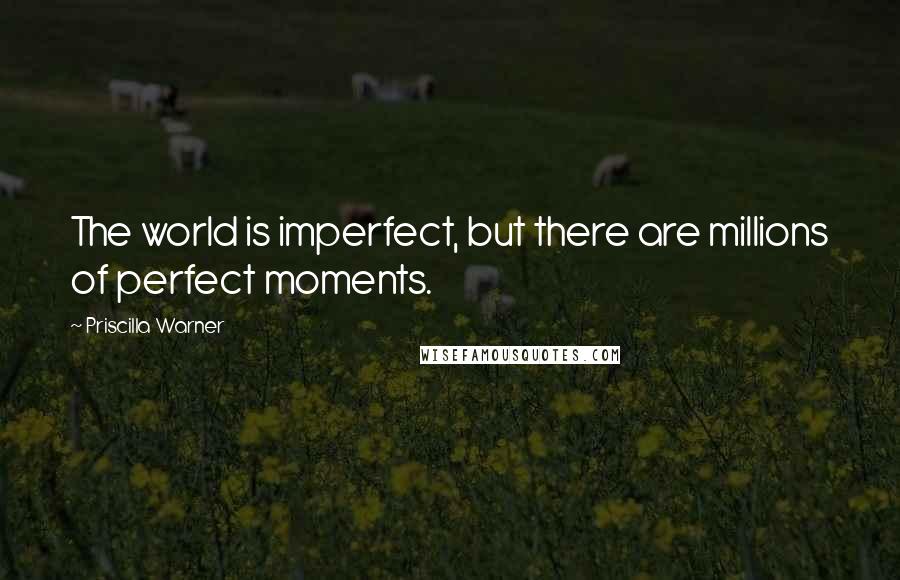 Priscilla Warner Quotes: The world is imperfect, but there are millions of perfect moments.