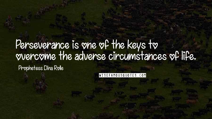 Prophetess Dina Rolle Quotes: Perseverance is one of the keys to overcome the adverse circumstances of life.