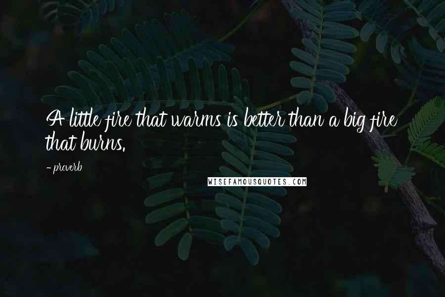 Proverb Quotes: A little fire that warms is better than a big fire that burns.