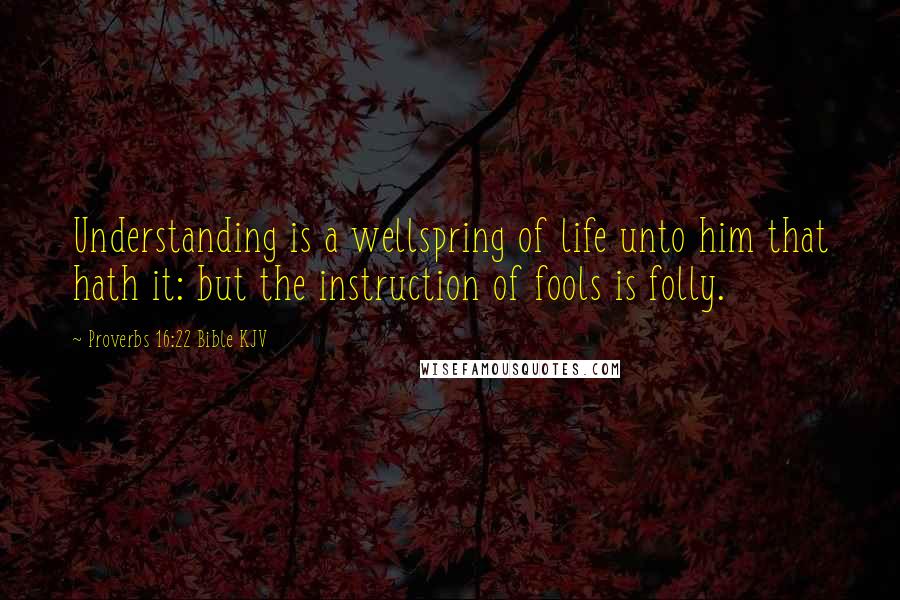 Proverbs 16:22 Bible KJV Quotes: Understanding is a wellspring of life unto him that hath it: but the instruction of fools is folly.