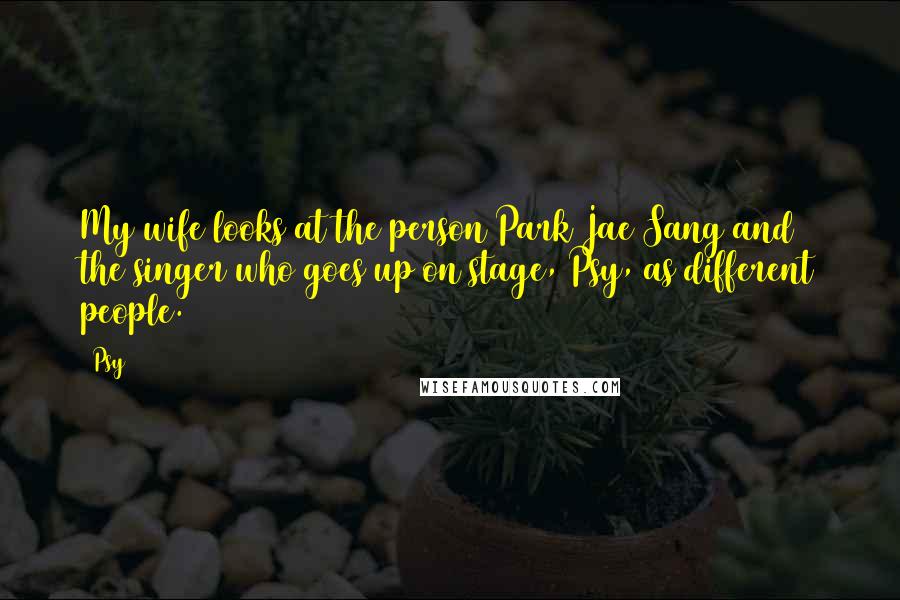 Psy Quotes: My wife looks at the person Park Jae Sang and the singer who goes up on stage, Psy, as different people.