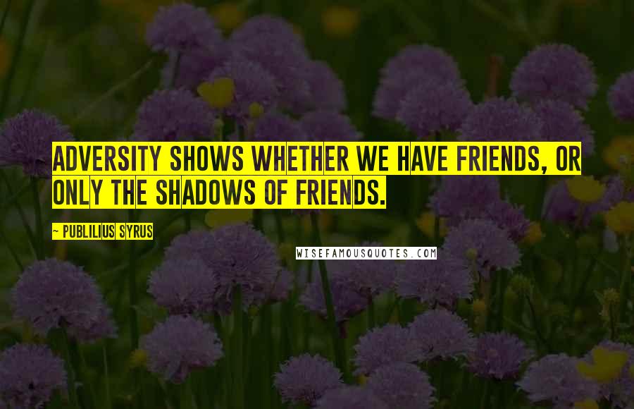 Publilius Syrus Quotes: Adversity shows whether we have friends, or only the shadows of friends.