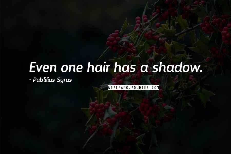 Publilius Syrus Quotes: Even one hair has a shadow.