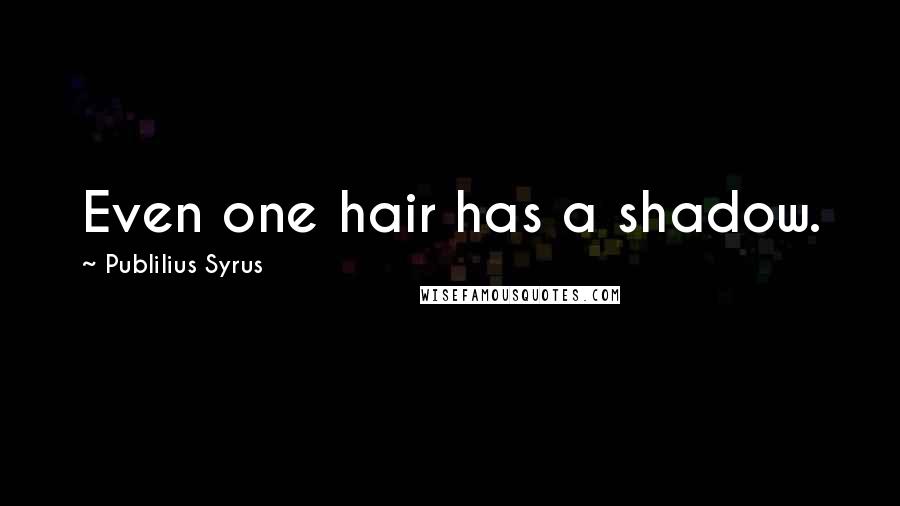 Publilius Syrus Quotes: Even one hair has a shadow.