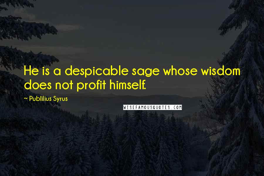 Publilius Syrus Quotes: He is a despicable sage whose wisdom does not profit himself.