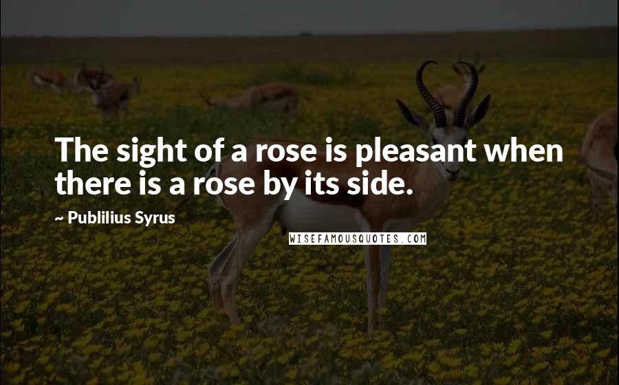 Publilius Syrus Quotes: The sight of a rose is pleasant when there is a rose by its side.