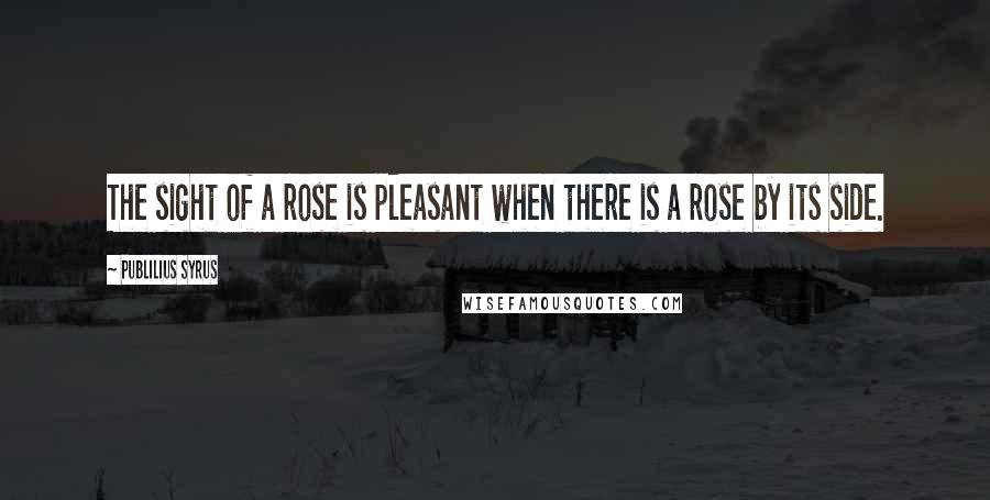 Publilius Syrus Quotes: The sight of a rose is pleasant when there is a rose by its side.