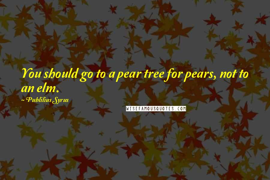 Publilius Syrus Quotes: You should go to a pear tree for pears, not to an elm.