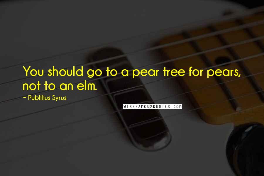 Publilius Syrus Quotes: You should go to a pear tree for pears, not to an elm.