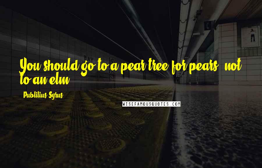 Publilius Syrus Quotes: You should go to a pear tree for pears, not to an elm.